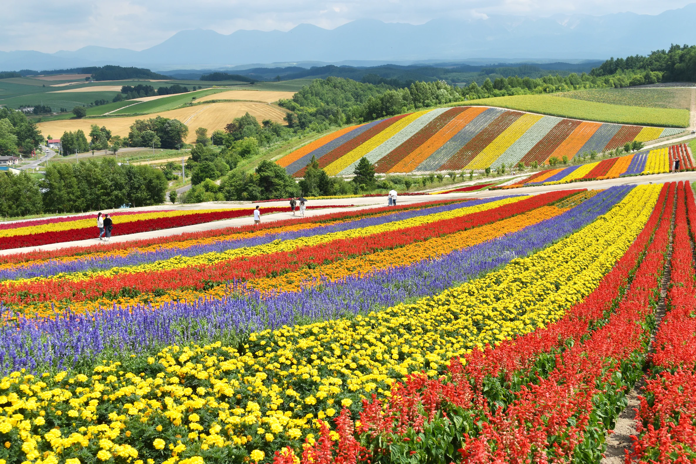 Featured image of post Enjoy Hokkaido 北海道